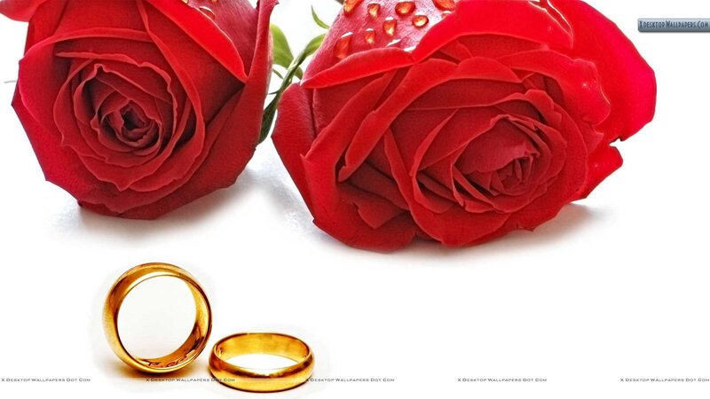 Two Red Roses and Rings