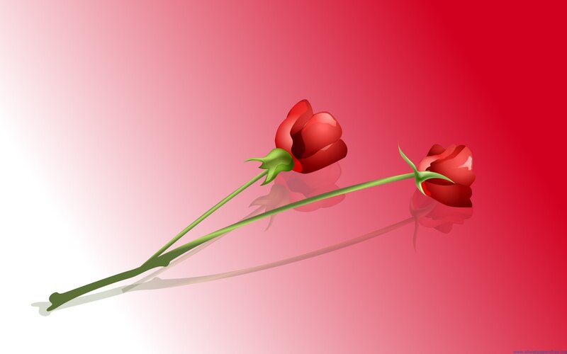 Two Red Roses — Calm, Digital Art