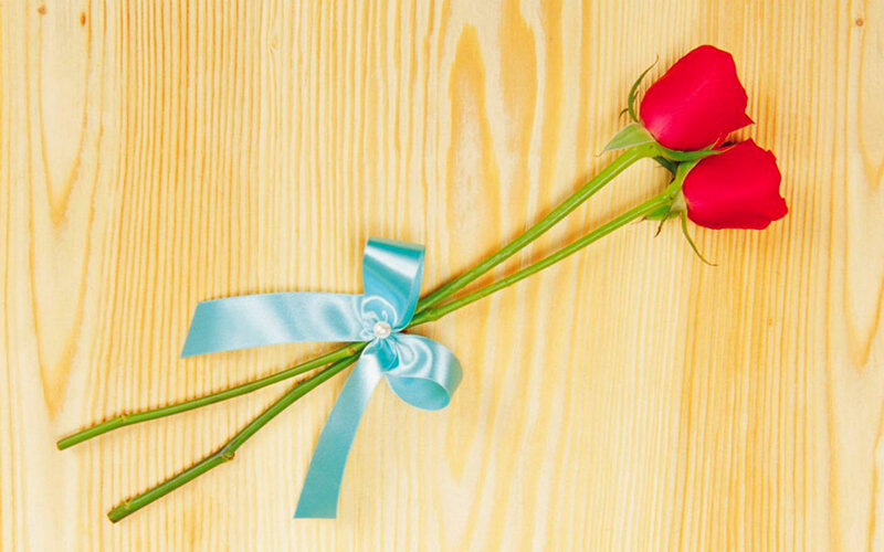 Two Red Roses — Calm, Photograph, Blue Ribbon