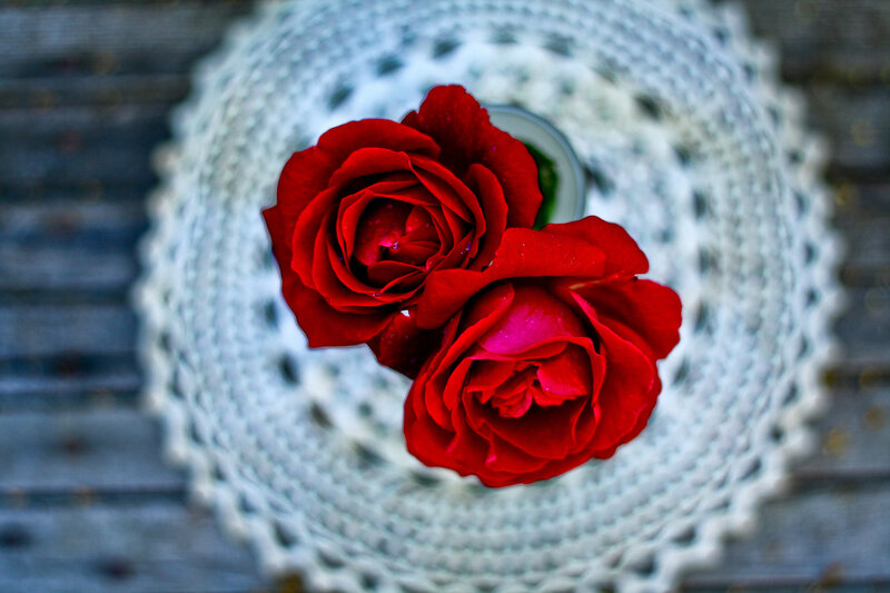 Two Red Roses — Calm, Photograph, Doily