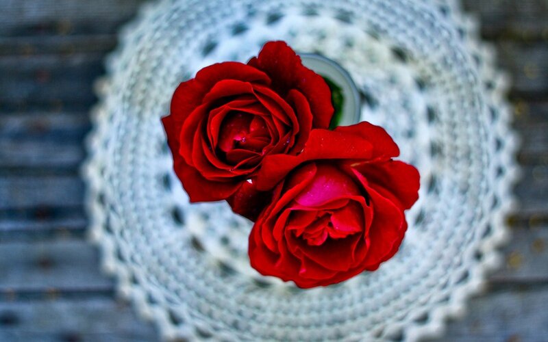 Two Red Roses — Calm, Photograph, Doily, Vase