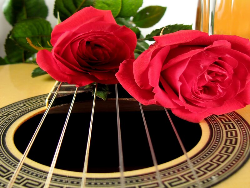 Two Red Roses — Calm, Photograph, Guitar
