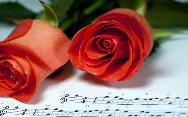 Two Red Roses — Calm, Photograph, Sheet Music
