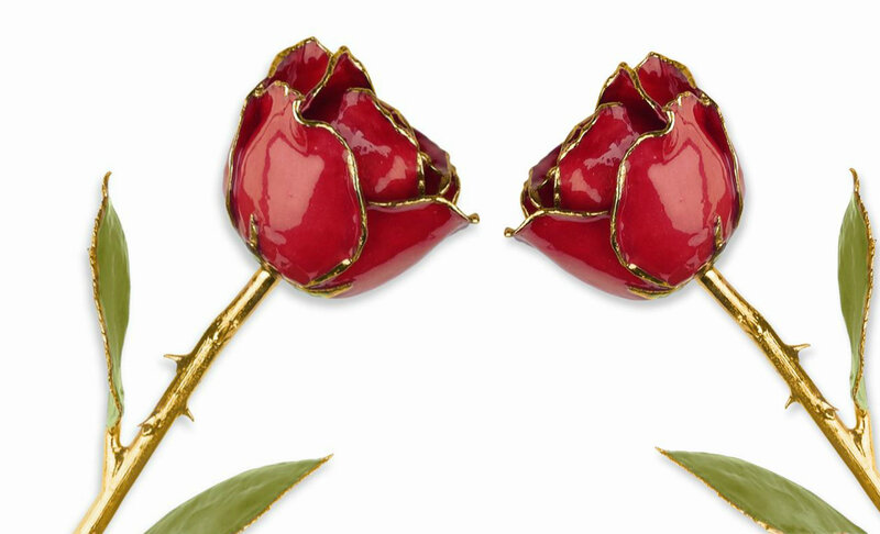 Two Red Roses — Calm, Photograph, Stem, Leaf