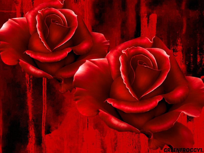 Two Red Roses — Dramatic, Digital Art, Flowers