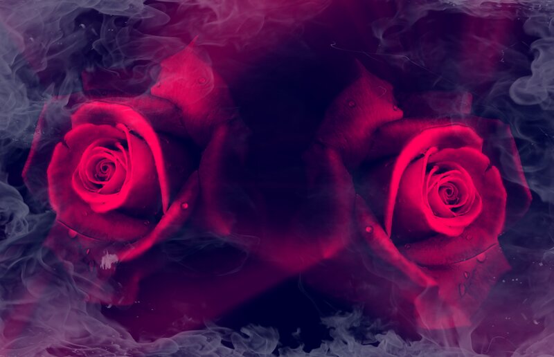 Two Red Roses — Dramatic, Digital Art, Smoke