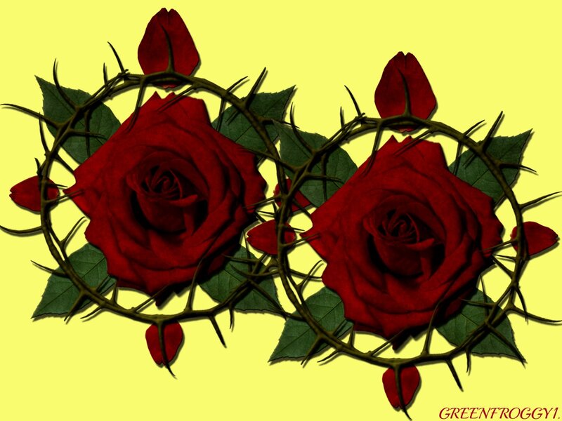 Two Red Roses — Dramatic, Digital Art, Thorny Branches