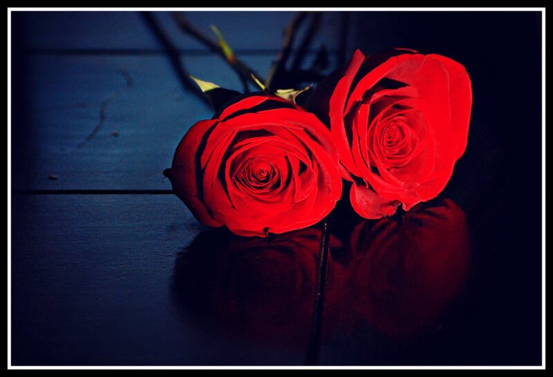 Two Red Roses — Dramatic, Night, Photograph, Wooden Surface
