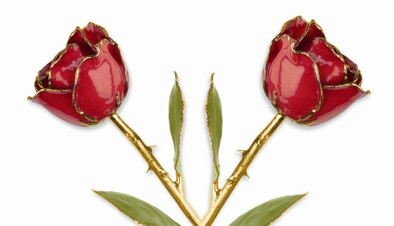 Two Red Roses — Elegant