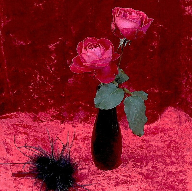 Two Red Roses in Vase — Dramatic, Photograph