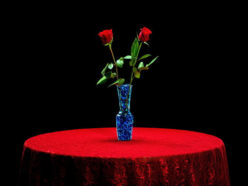 Two Red Roses in Vase — Dramatic