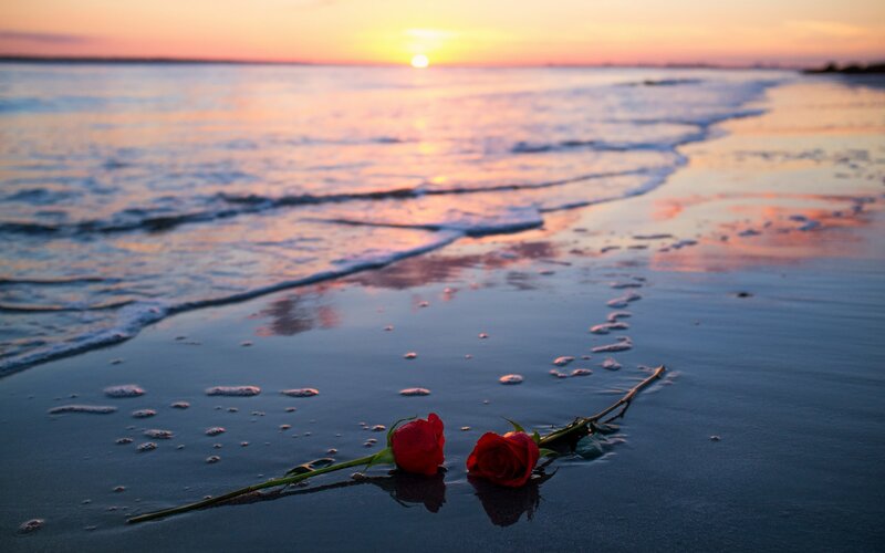 Two Red Roses on Beach — Serene