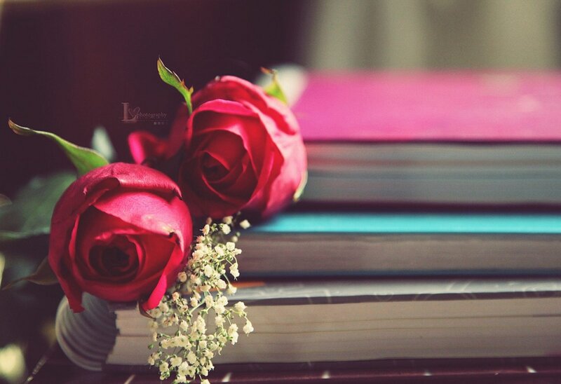 Two Red Roses on Books
