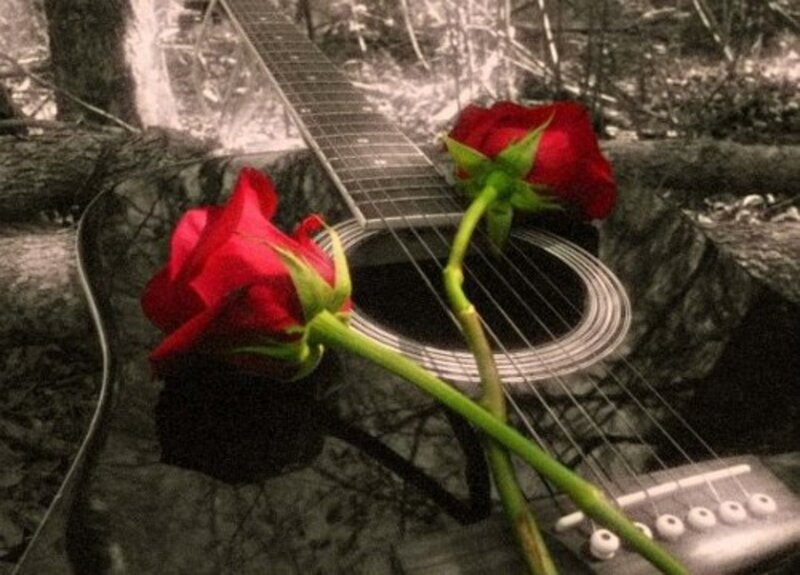 Two Red Roses on Guitar — Romantic