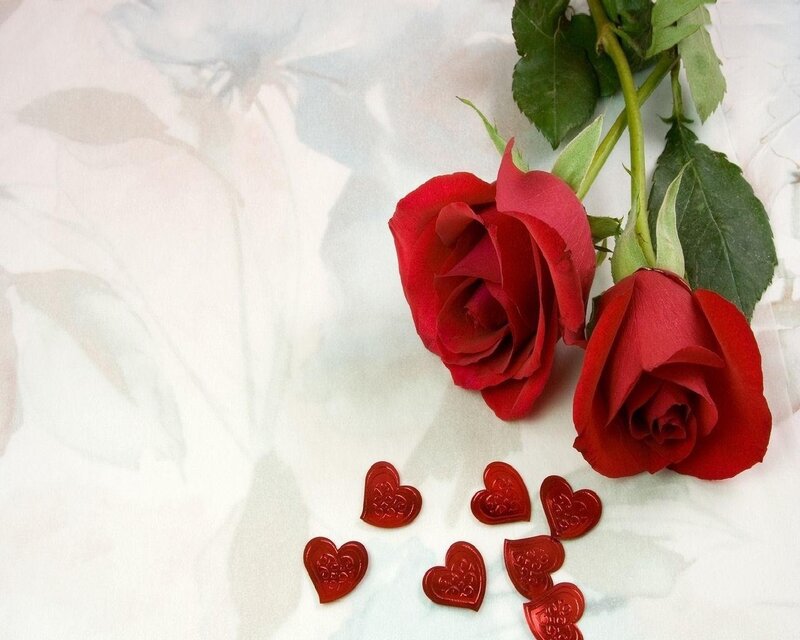 Two Red Roses — Romantic, Photograph, Heart-shaped Candies