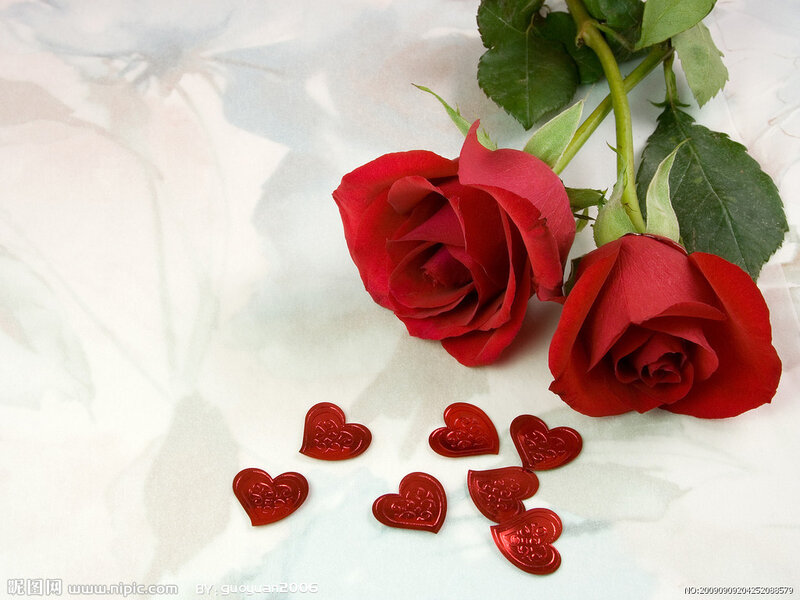 Two Red Roses — Romantic, Photograph, Heart-shaped Decorations