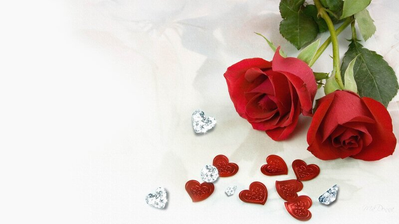 Two Red Roses — Romantic, Photograph, Hearts