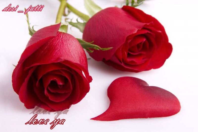 Two Red Roses — Romantic, Photograph, Rose Petals, Heart Shape