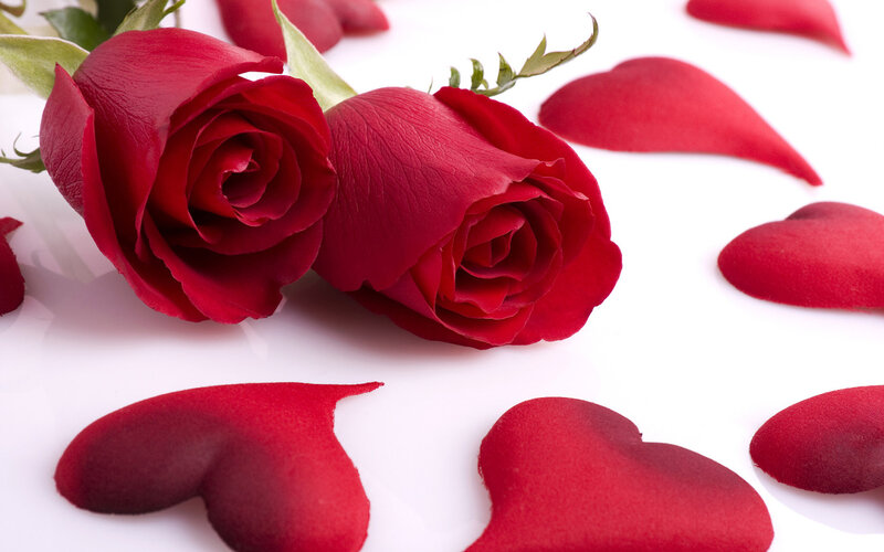 Two Red Roses — Romantic, Photograph, Rose Petals, Stem