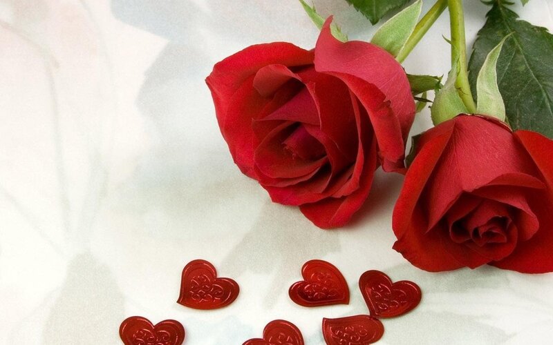 Two Red Roses — Romantic, Photograph