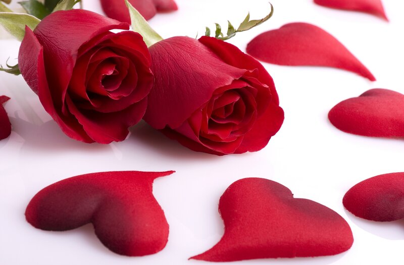 Two Red Roses — Romantic