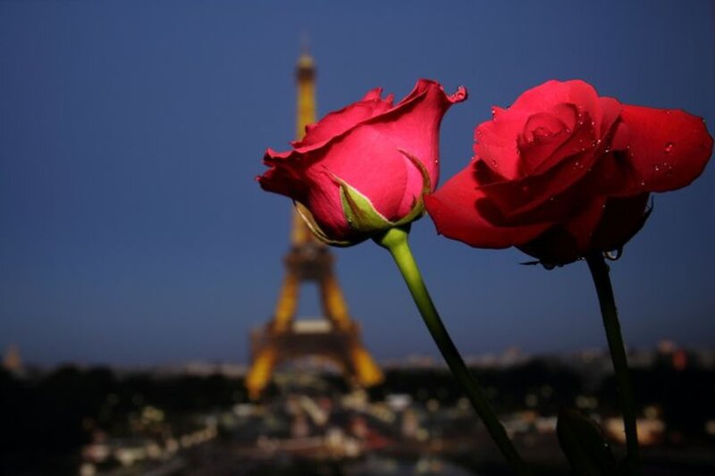 Two Red Roses — Serene, Night