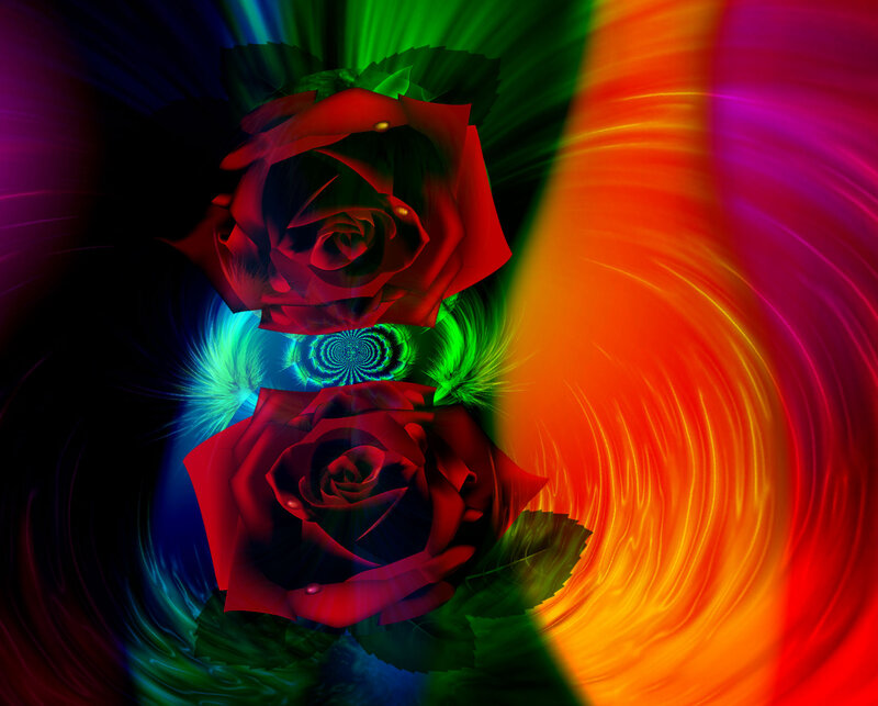 Two Red Roses — Vibrant