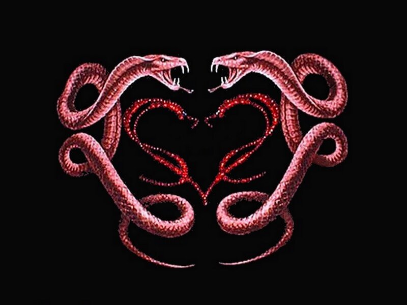 Two Red Snakes Forming Heart