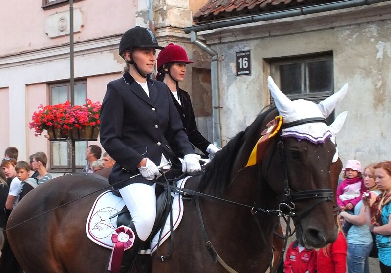 Two Riders on a Horse — Brown