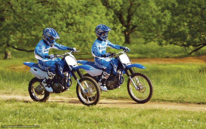Two Riders on Dirt Bikes — Blue