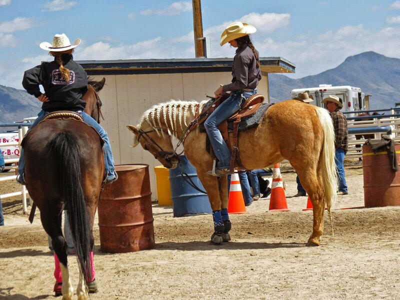 Two Riders on Horses — Brown, Outdoor, Afternoon
