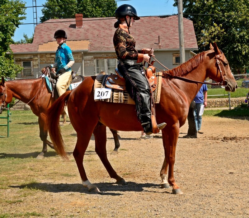 Two Riders on Horses — Brown, Outdoor
