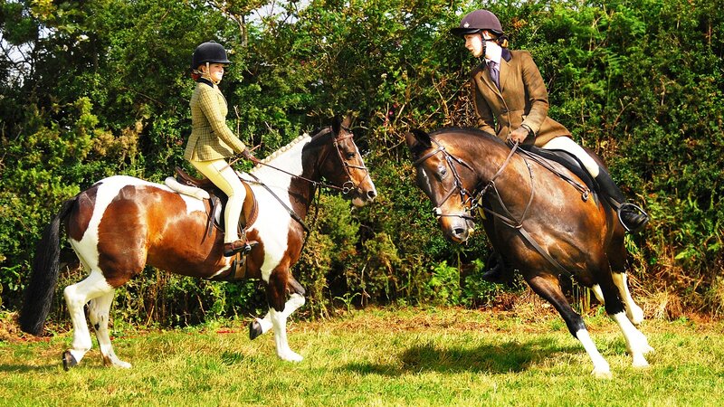Two Riders on Horses — Green, Calm