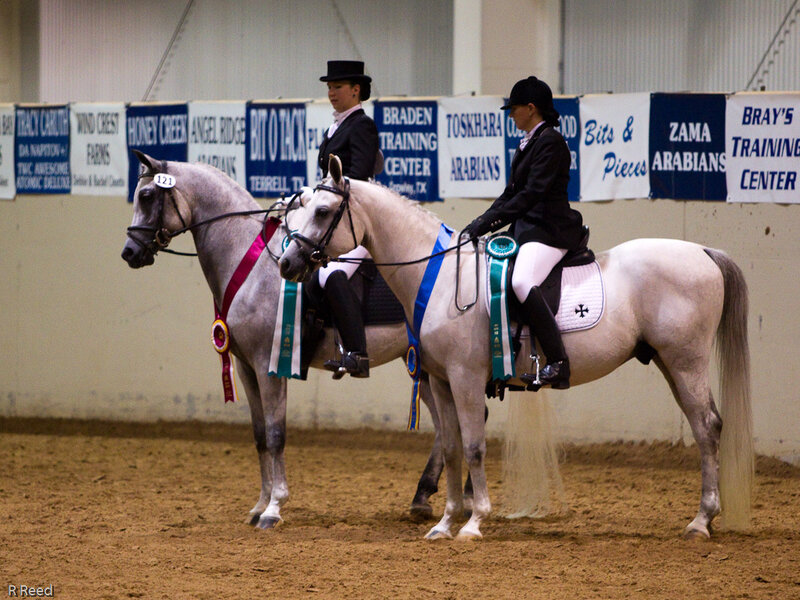 Two Riders on Horses
