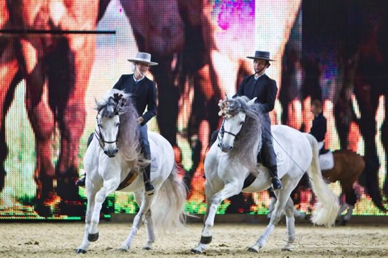 Two Riders on White Horses — Dramatic