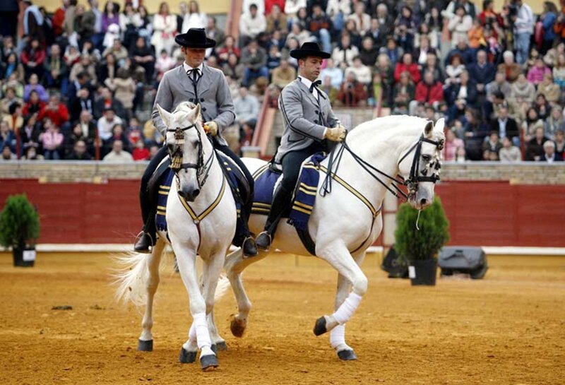Two Riders on White Horses — Formal