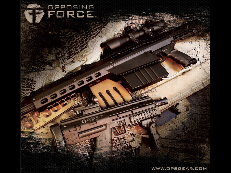 Two Rifles on Fabric