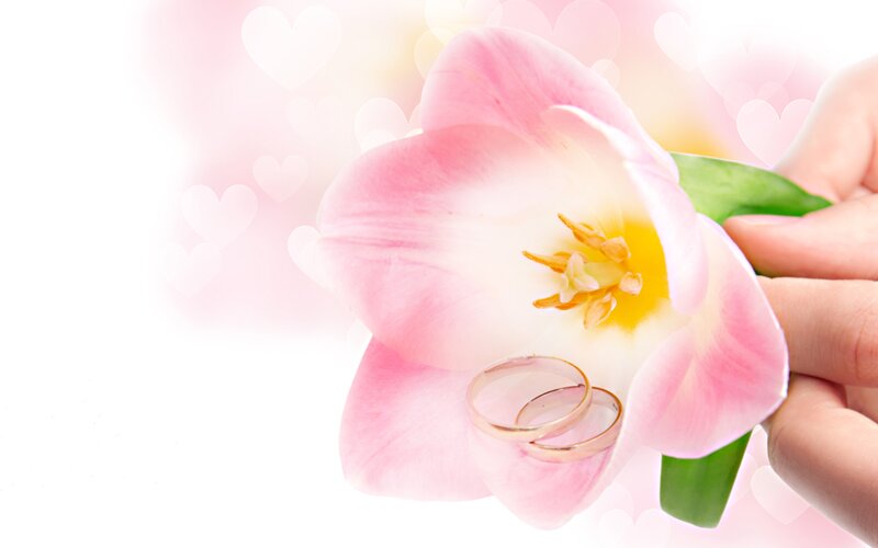 Two Rings on Flower