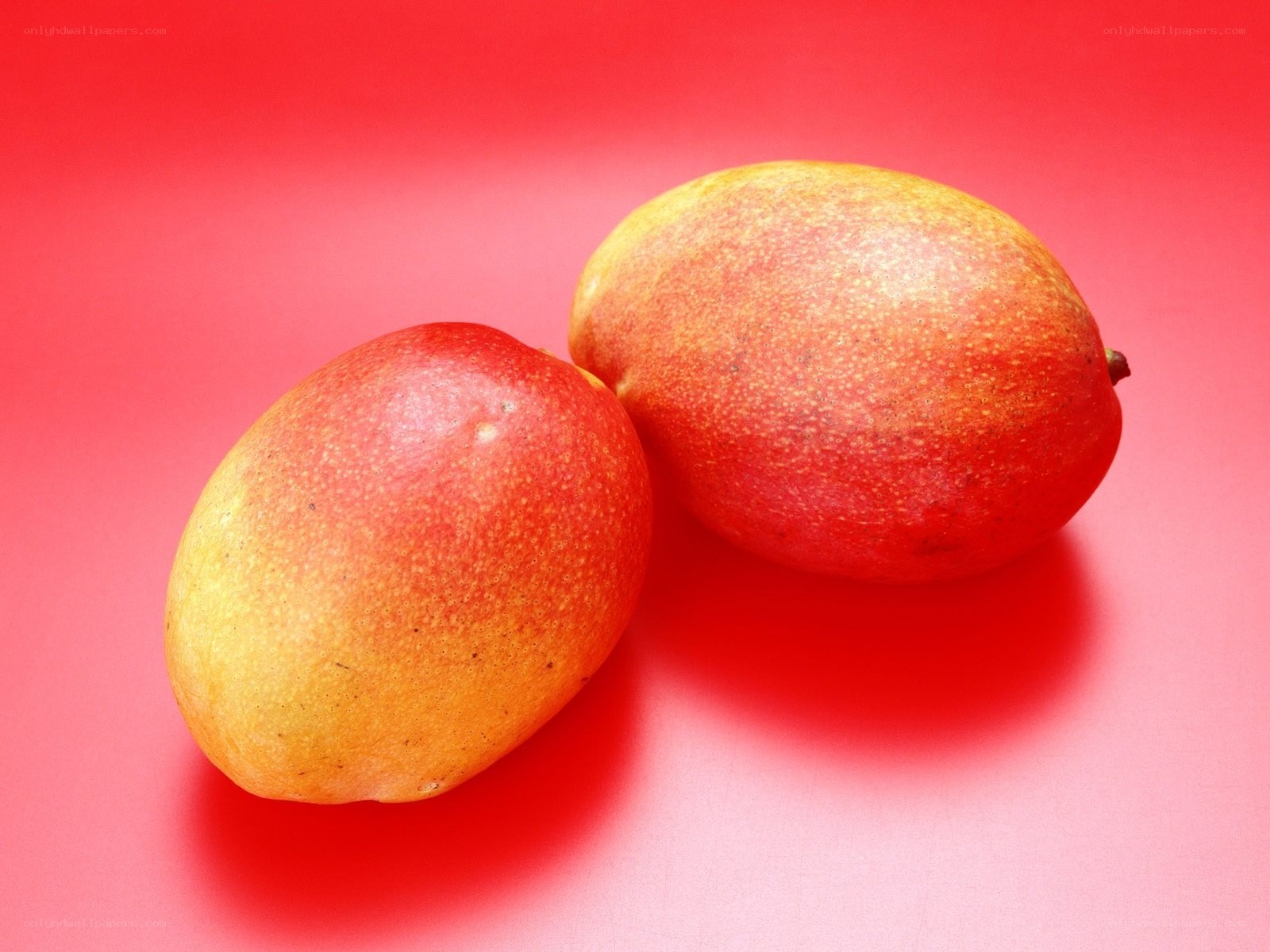 Two ripe mangoes on red
