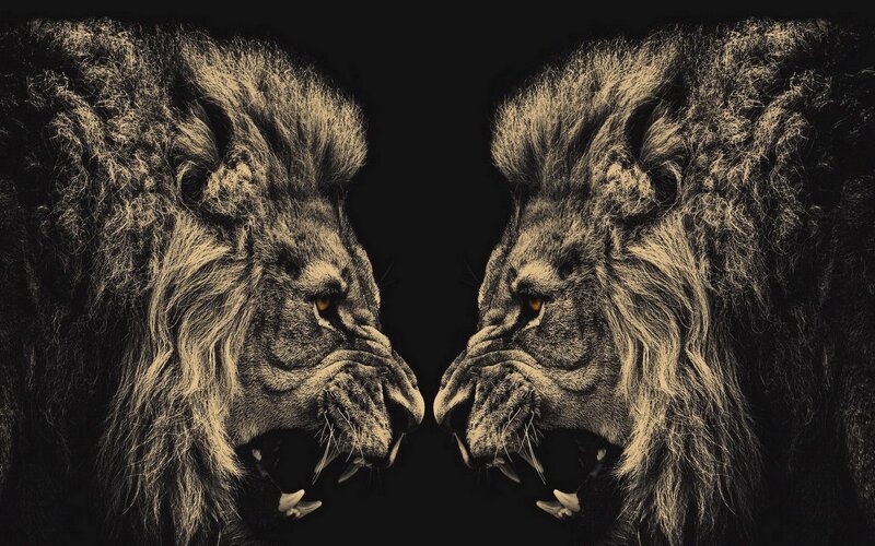 Two Roaring Lions — Black