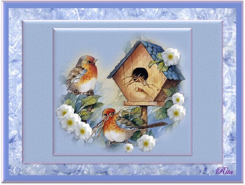 Two Robins and a Birdhouse