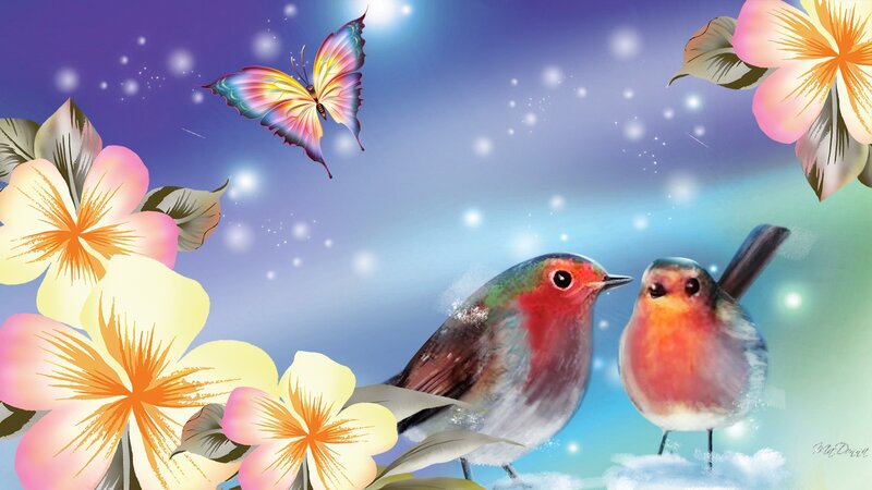 Two Robins and a Butterfly