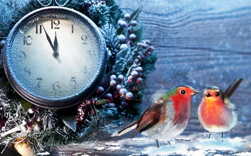 Two Robins in Snow — Blue