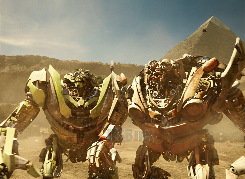 Two Robots in Desert