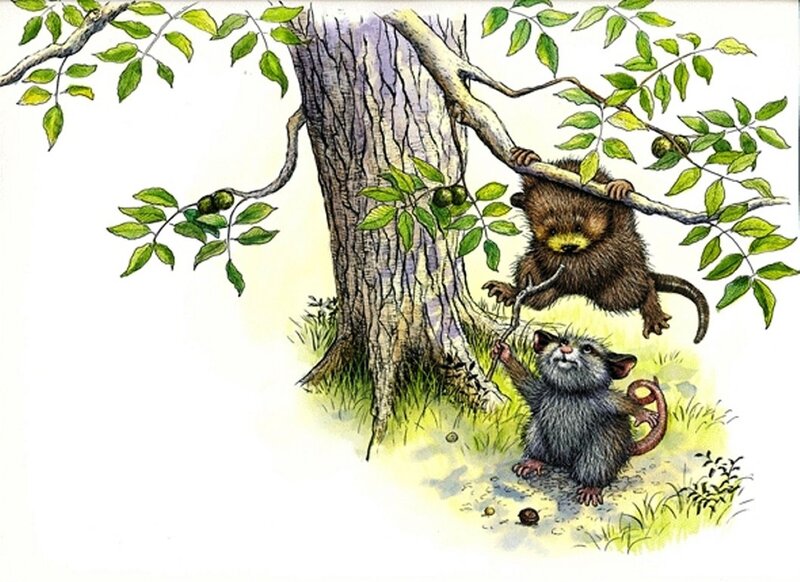 Two Rodents in Tree