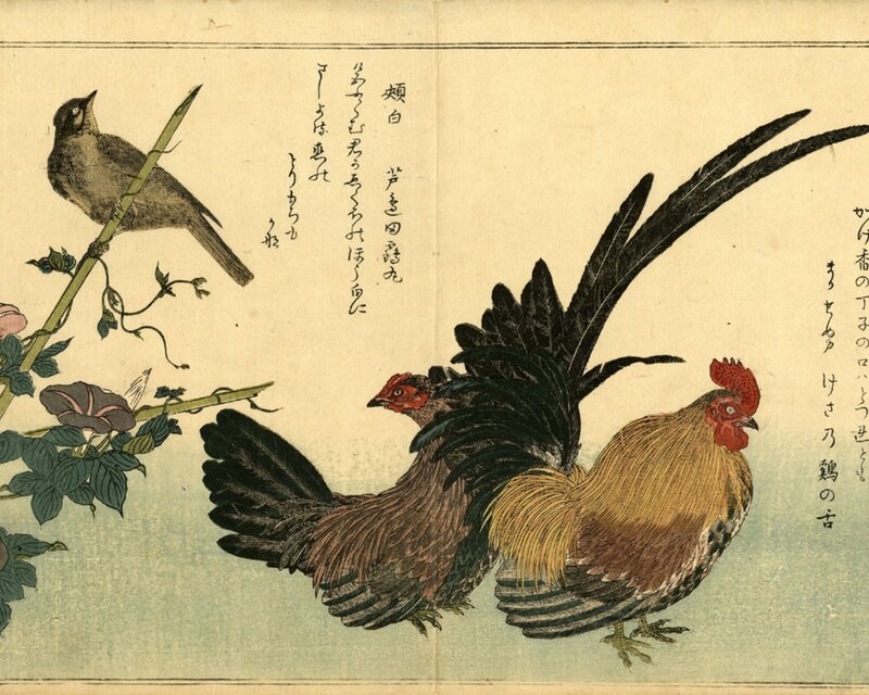 Two Roosters and a Bird