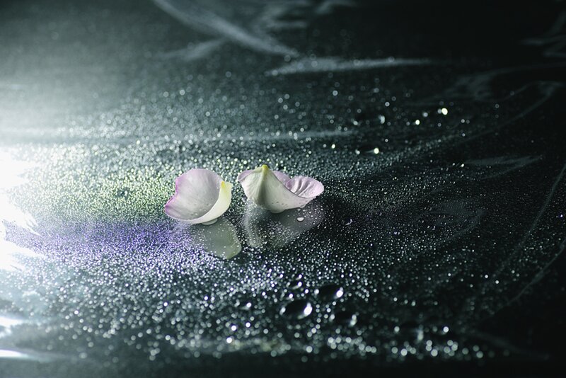 Two Rose Petals
