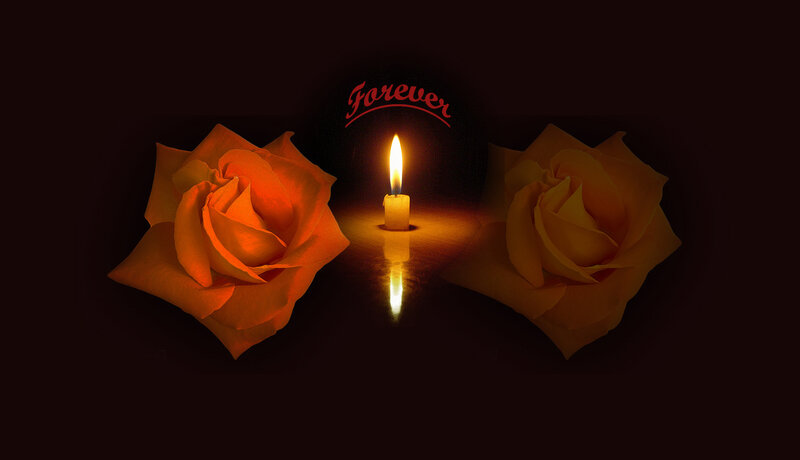 Two Roses and a Candle