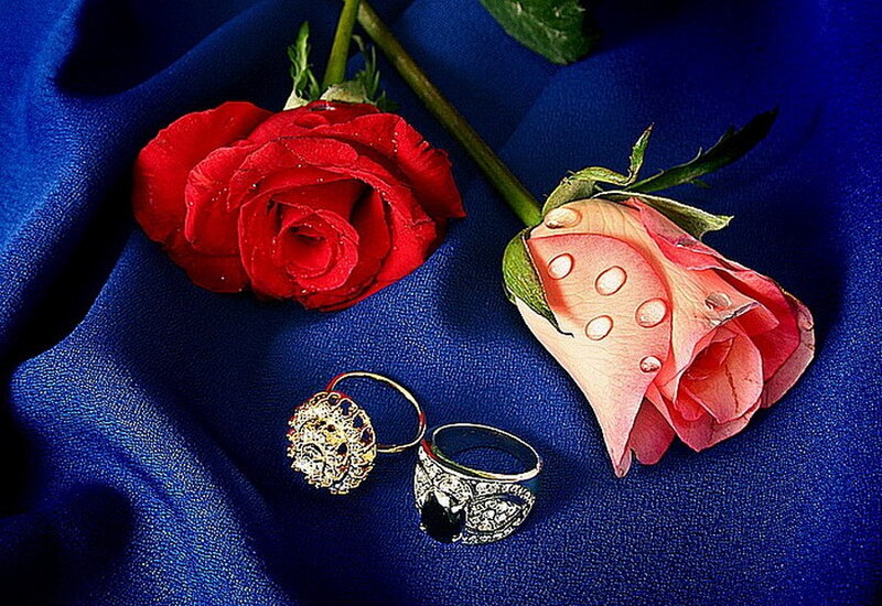 Two Roses and Rings