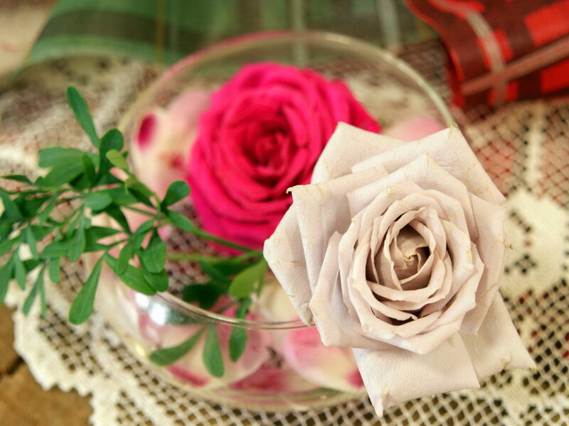 Two Roses in a Vase — Pink